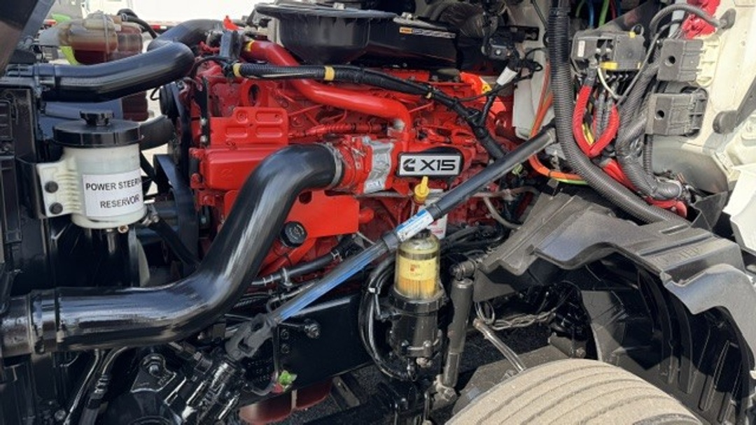 Image 12