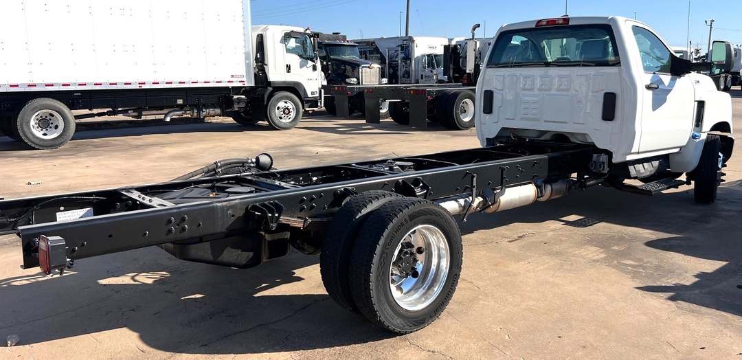 2024 International - image 4