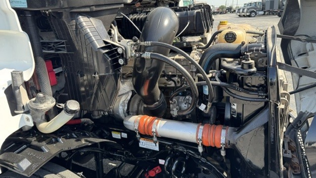 Image 11