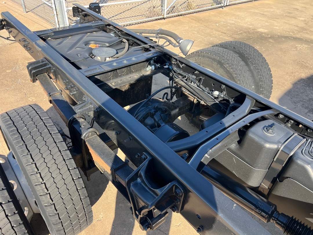 2024 International - image 5